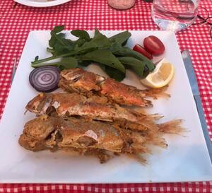 Karya Otel Mangal Evi Bodrum Merkez Bodrum